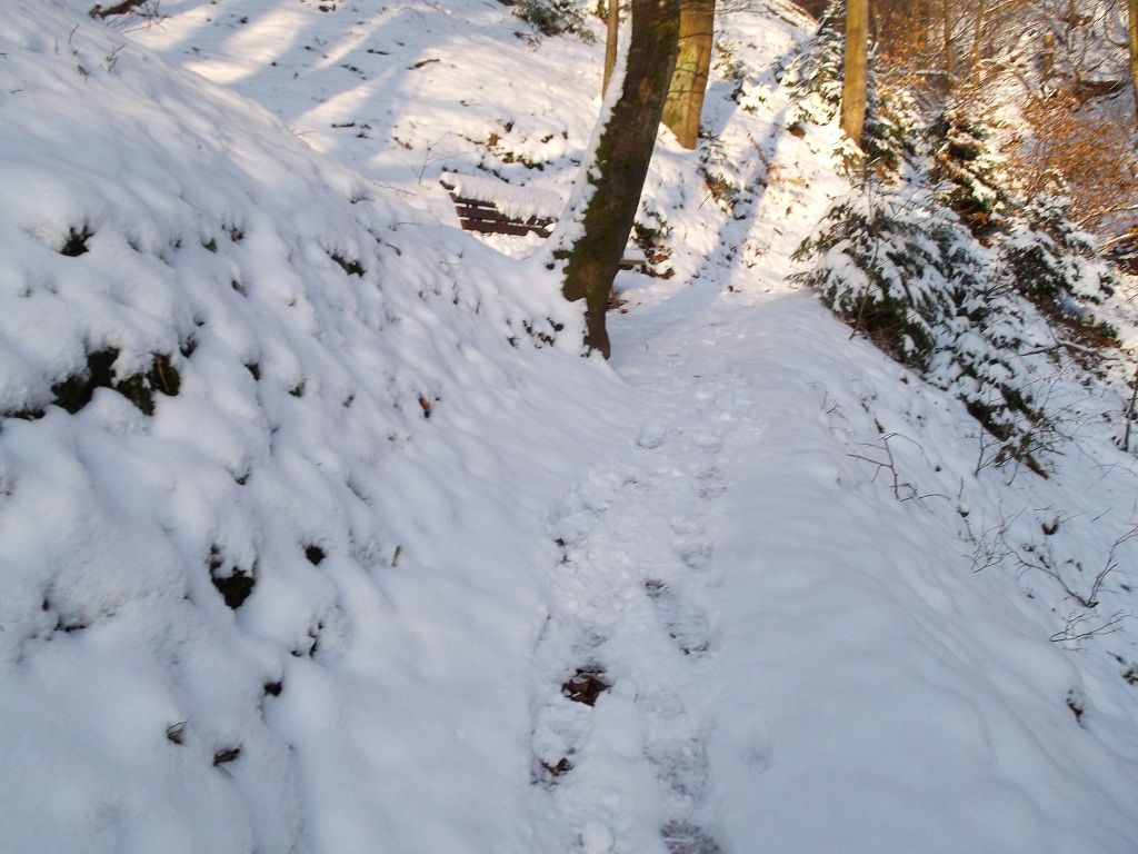 DHW0106.JPG